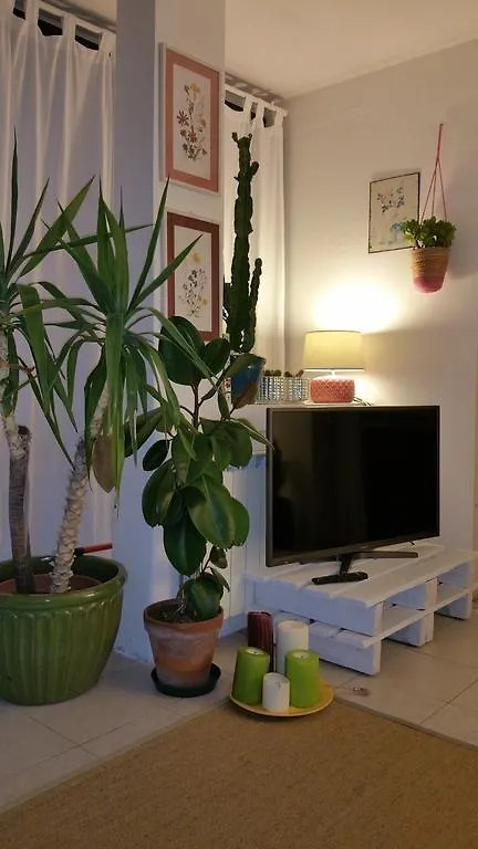 Cristina' S Flat Apartment Misano Adriatico